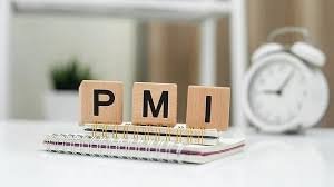 India’s PMI Surge Validates Manufacturing Resilience (Jan 24, 2026)